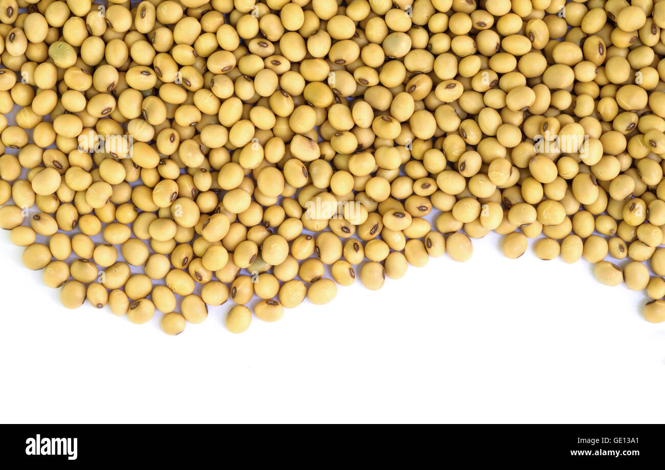 Gros plan du soja l'arrière-plan. Banque D'Images