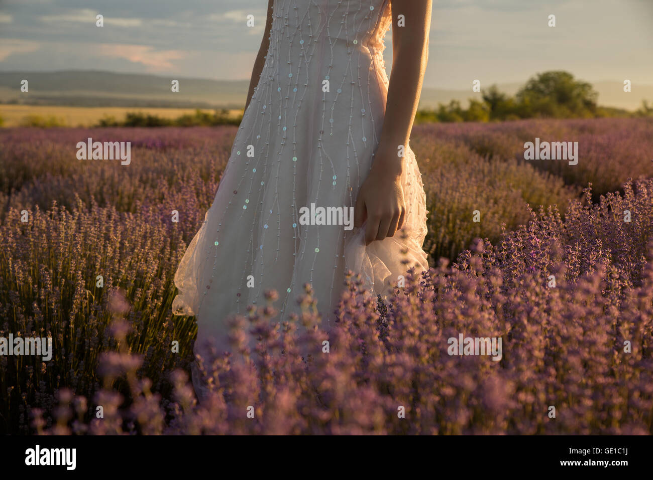 Woman standing in lavender field Banque D'Images