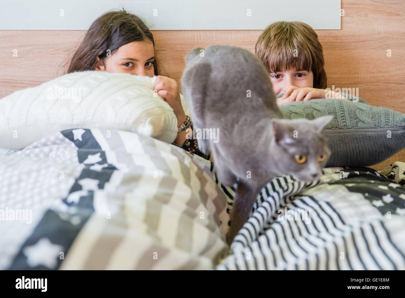 Boy and girl sitting in bed se cachant sous couvre Banque D'Images