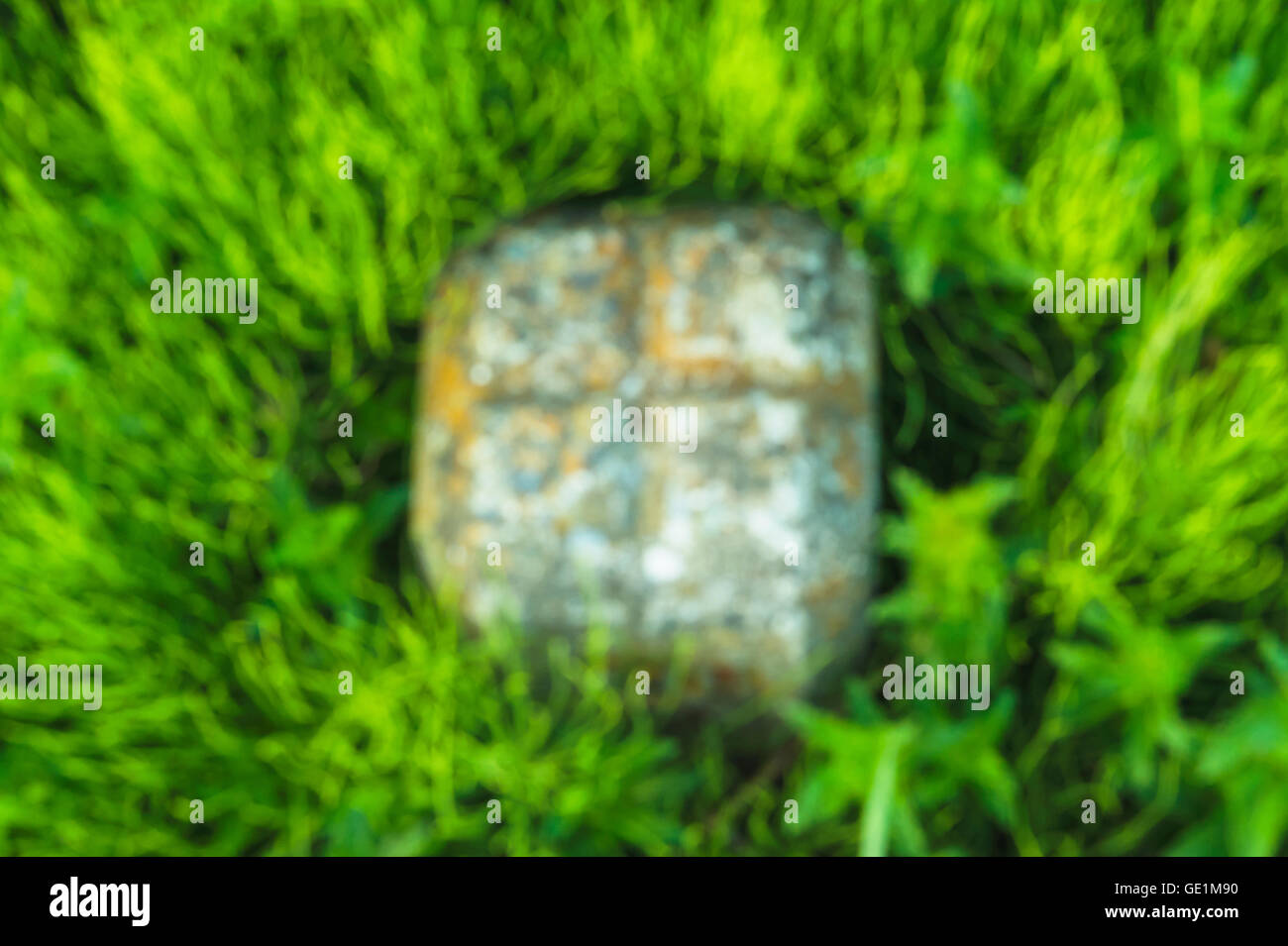 Troubles de la pierre et l'herbe verte autour de la texture d'arrière-plan Banque D'Images