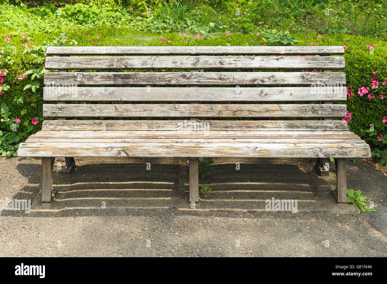 Banc en bois dans le parc Banque D'Images