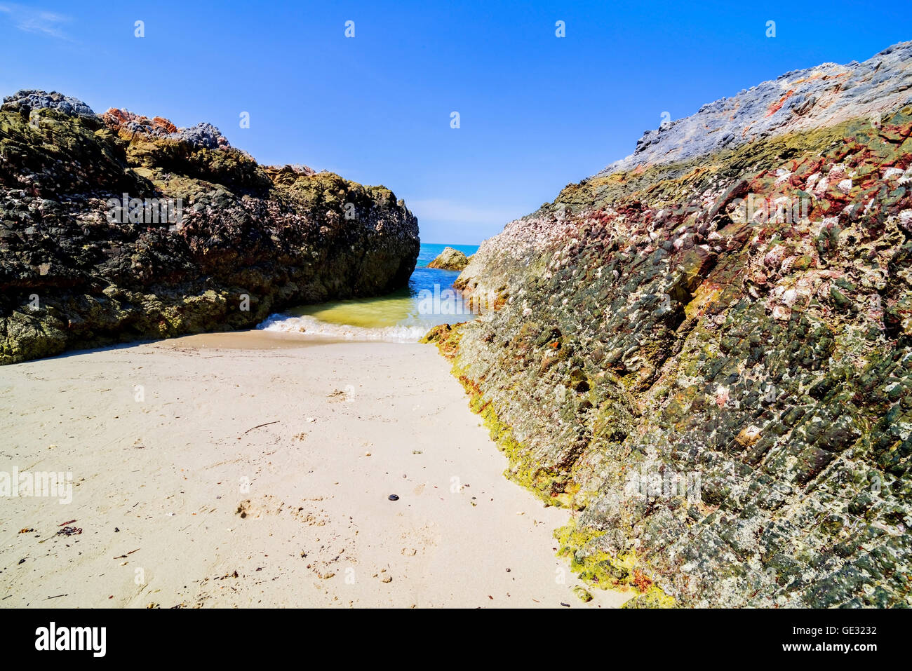 Belles îles en Thaïlande. snorkeling paradis avec de l'eau de mer claire et pierres beach Banque D'Images