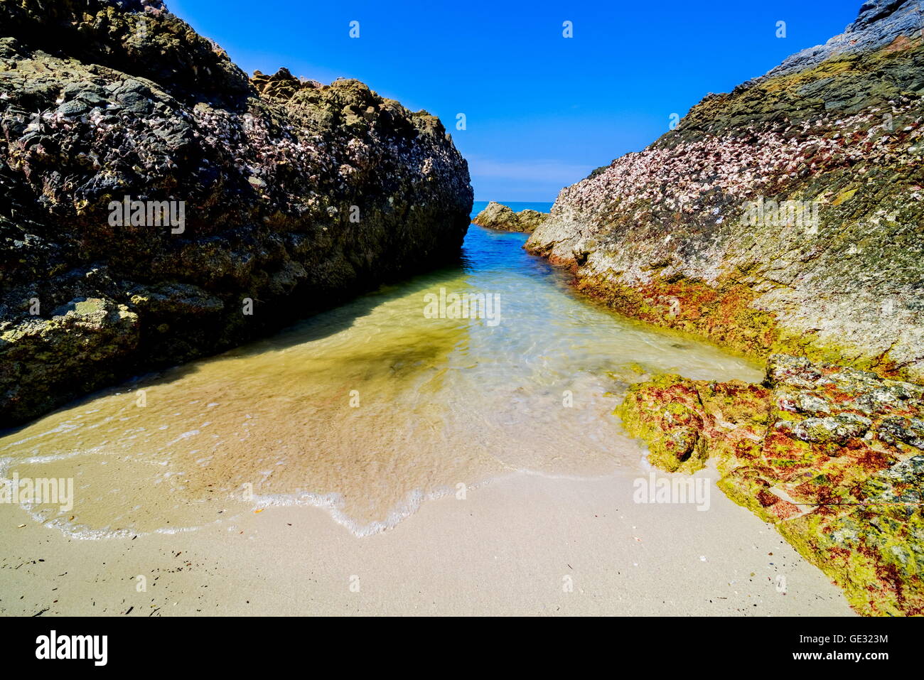 Belles îles en Thaïlande. snorkeling paradis avec de l'eau de mer claire et pierres beach Banque D'Images