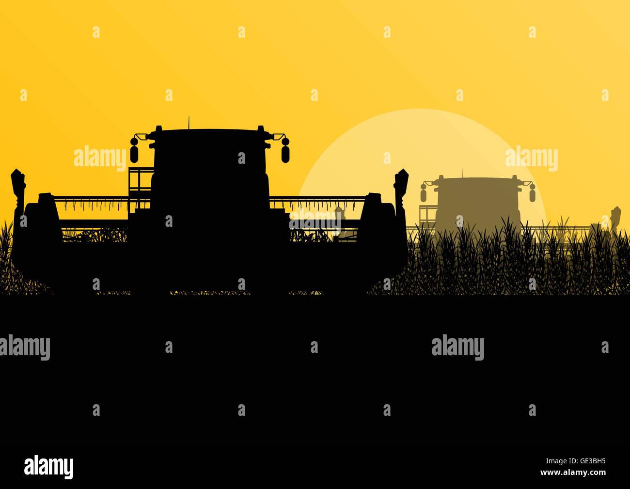Moissonneuse-batteuse agricole dans le champ de céréales paysage agricole saisonnière illustration vecteur de fond de scène Illustration de Vecteur