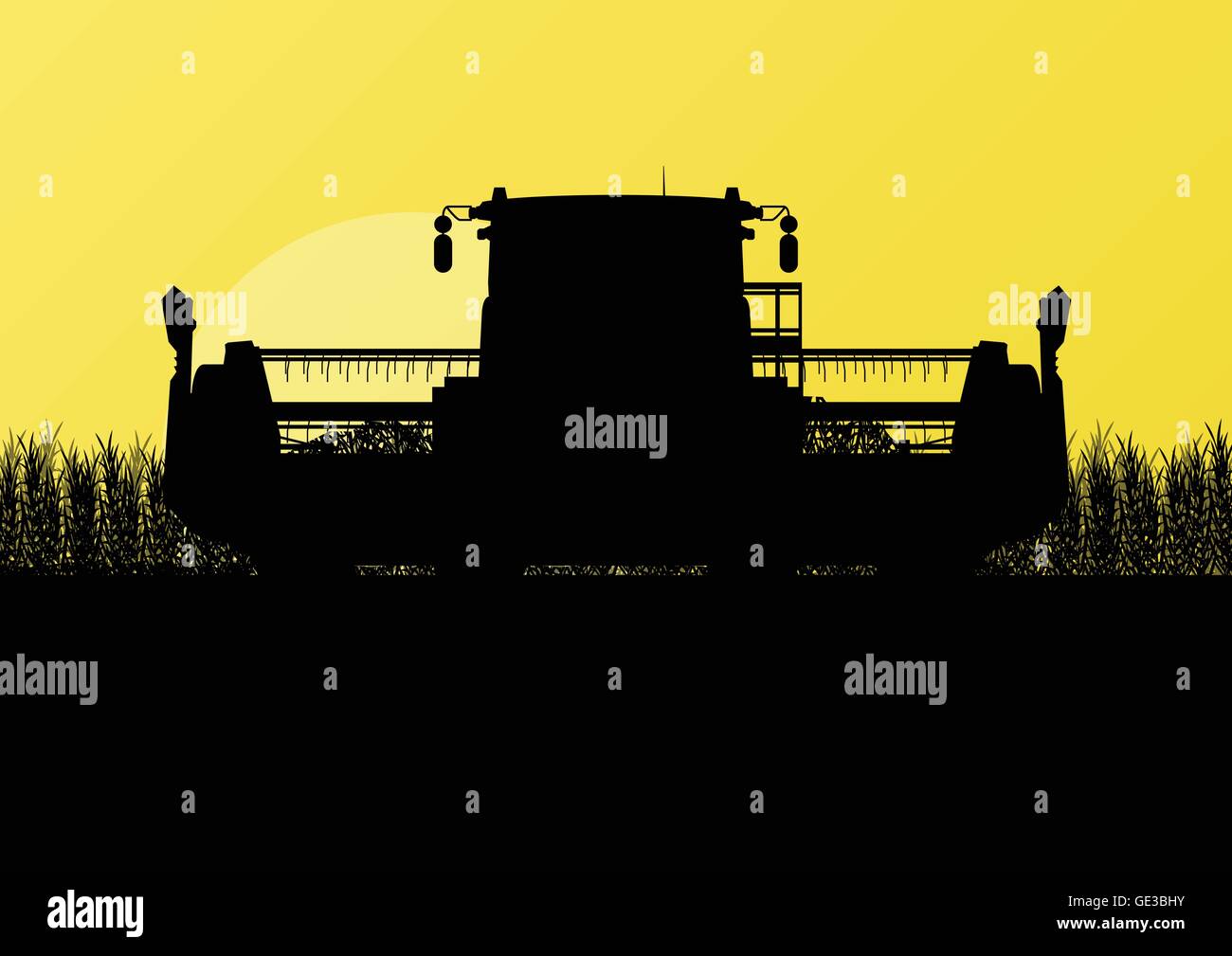 Moissonneuse-batteuse agricole dans le champ de céréales paysage agricole saisonnière illustration vecteur de fond de scène Illustration de Vecteur