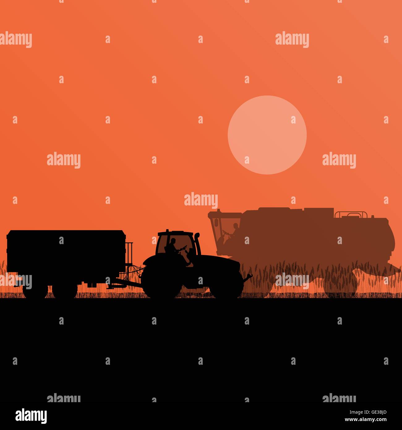 Moissonneuse-batteuse et le tracteur agricole dans le champ de céréales paysage agricole saisonnière illustration vecteur de fond de scène Illustration de Vecteur