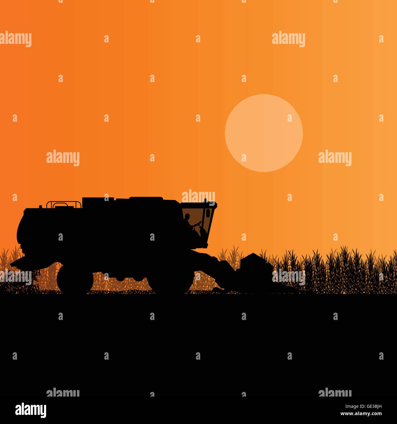 Moissonneuse-batteuse agricole dans le champ de céréales paysage agricole saisonnière illustration vecteur de fond de scène Illustration de Vecteur