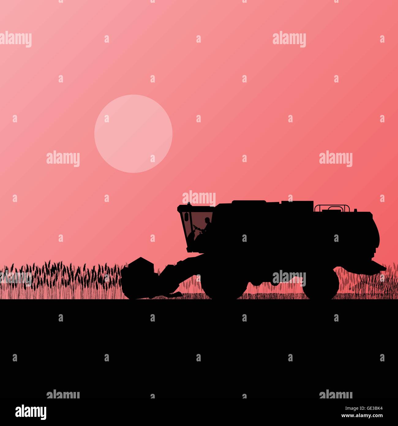 Moissonneuse-batteuse agricole dans le champ de céréales paysage agricole saisonnière illustration vecteur de fond de scène Illustration de Vecteur