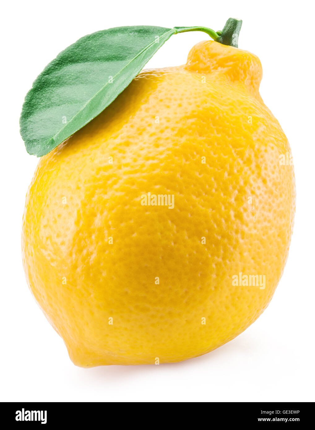 Ripe fruit citron sur le fond blanc. Banque D'Images