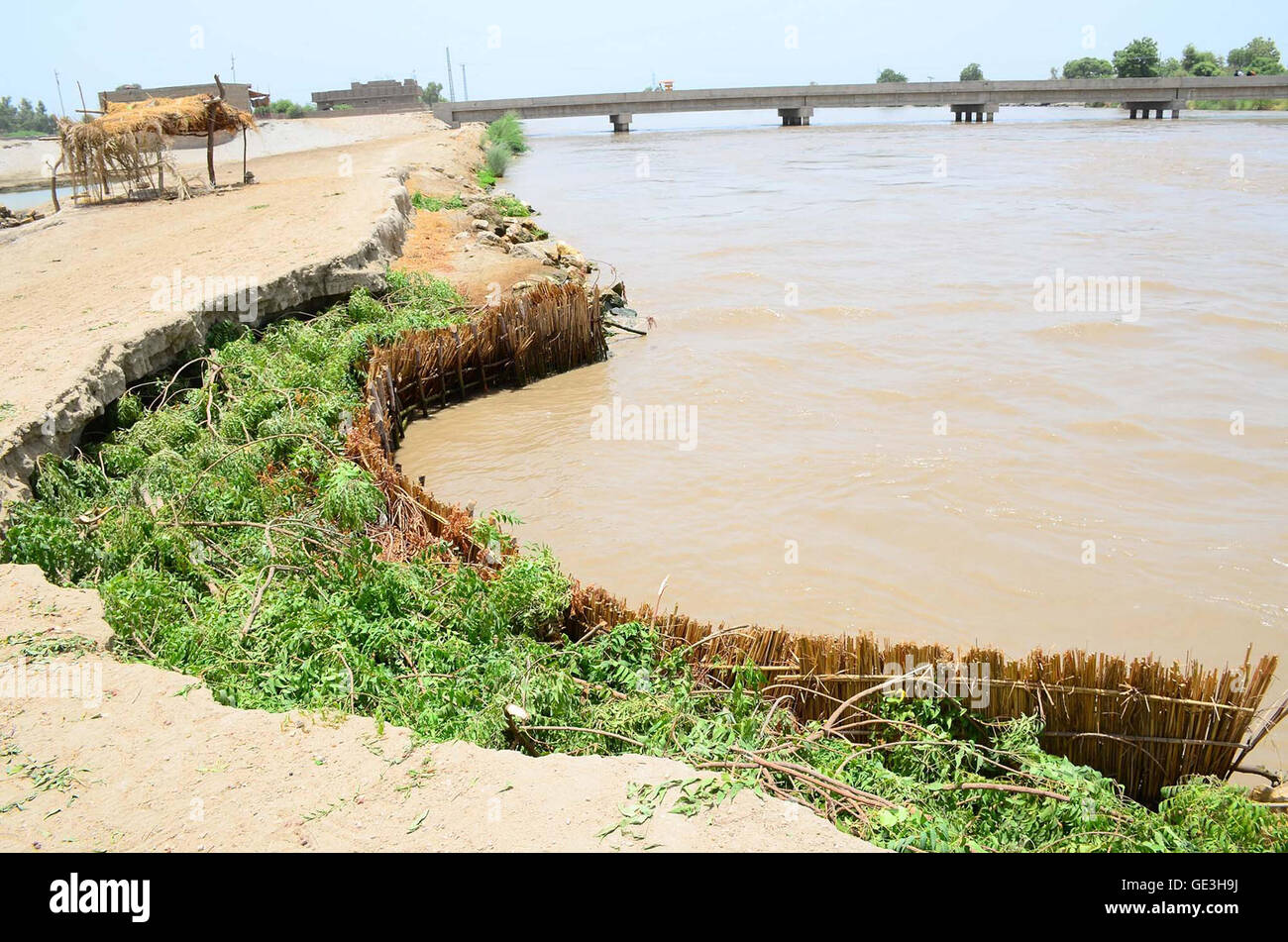 Les deux quais de canal de riz sont devenus extrêmement faibles dans le département de l'irrigation ont érigé les tapis et jeté les buissons pour les renforcer ce qui est vraiment inutile et peut causer de graves destructions durant les inondations, dans Naundero le vendredi, Juillet 22, 2016. Les experts disent que, si la violation de l'expansion en raison de l'érosion constante puis Garhi Khuda Bux seront inondés. Banque D'Images