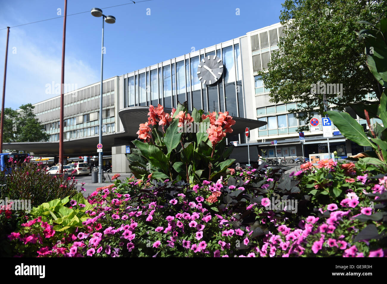 Munich, Allemagne. 23 juillet, 2016. Les fleurs fleurissent en face de la gare principale un jour après une fusillade à Munich, Allemagne, 23 juillet 2016. Un 18-year-old German-Iranian avait tué neuf personnes et lui-même à Munich le vendredi soir. L'arrière-plan et le motif de l'attaque demeurent obscures. PHOTO : Felix Hörhager/DPA - PAS DE SERVICE DE FIL - Crédit : dpa/Alamy Live News Banque D'Images