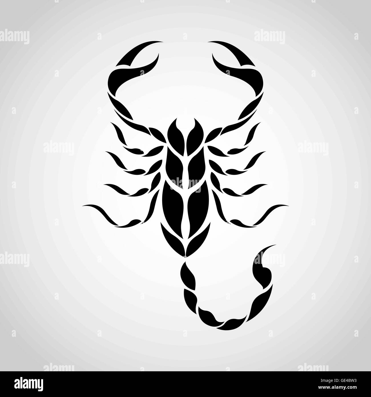tatouage-de-scorpion-banque-d-images-noir-et-blanc-page-2-alamy