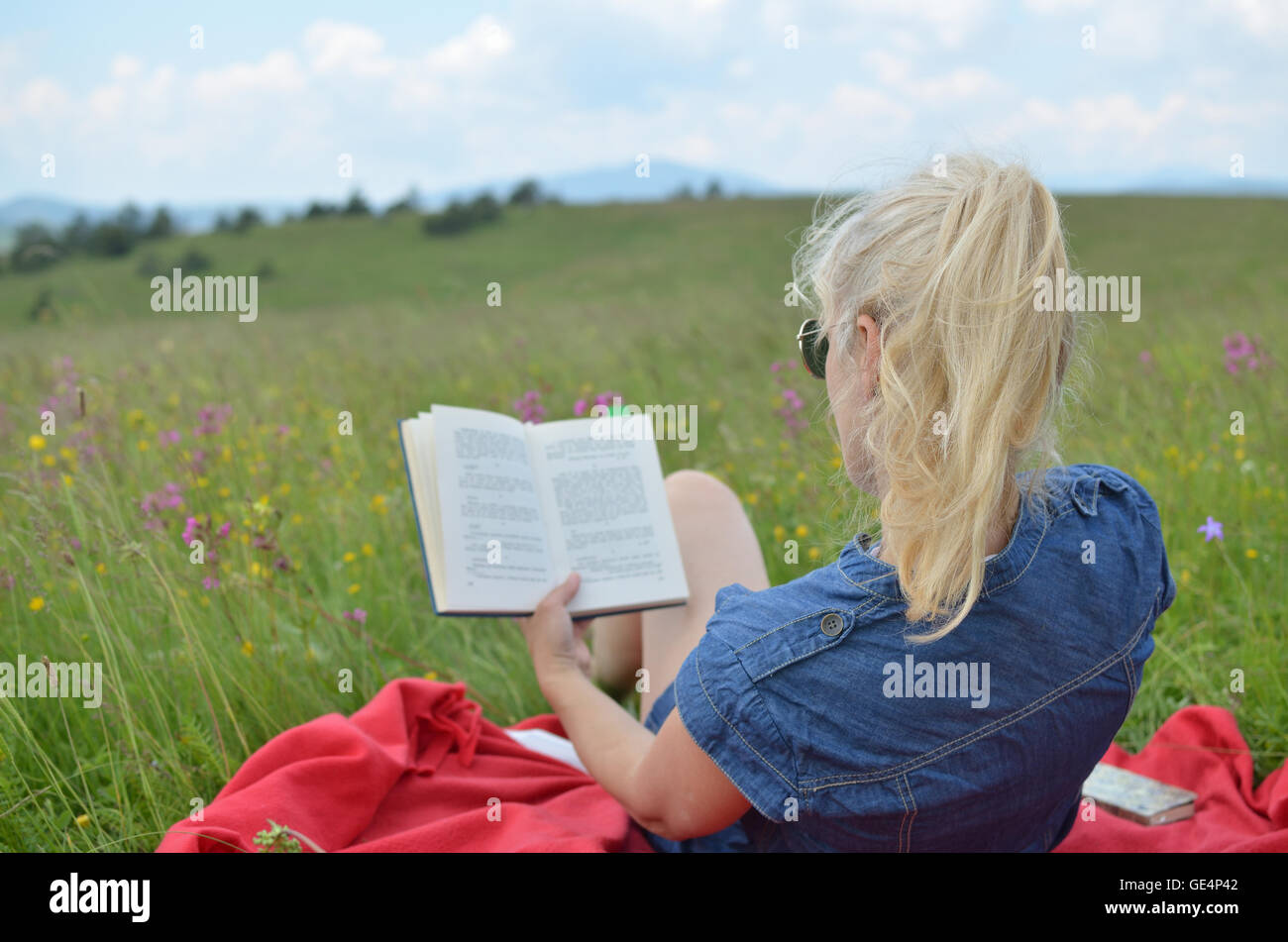 La femme est assise sur une couverture rouge dans une prairie de montagne et la lecture d'un livre Banque D'Images