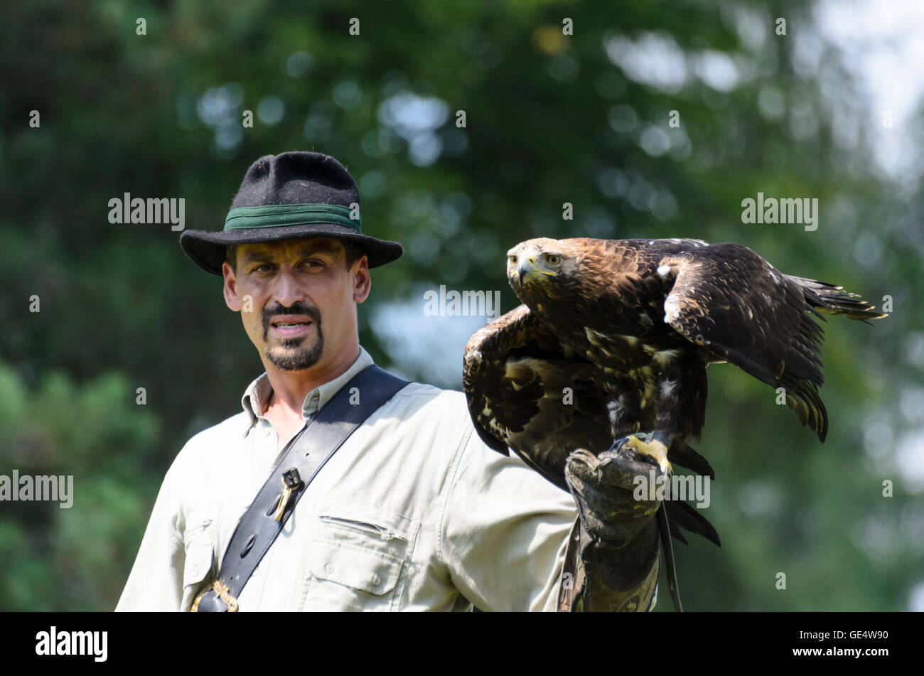 Pölla : Aigle impérial (Aquila heliaca ) dans une démonstration en vol de la fauconnerie et raptor centre du gouvernement fédéral autrichien Falkner Banque D'Images