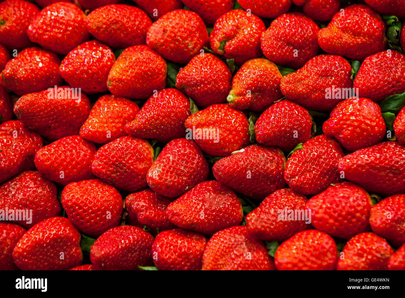 Les fraises, dans le marché de la boqueria, Barcelone. La Catalogne, Espagne. Banque D'Images