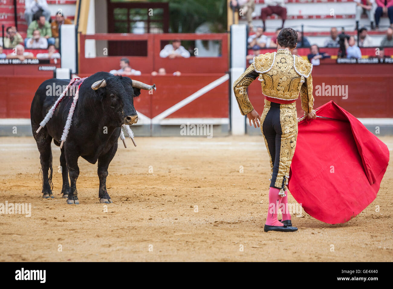 Jaen, Espagne - 17 octobre 2008 : torero espagnol Cesar Jimenez la corrida avec la béquille dans l'Arène de Jaen, Espagne Banque D'Images