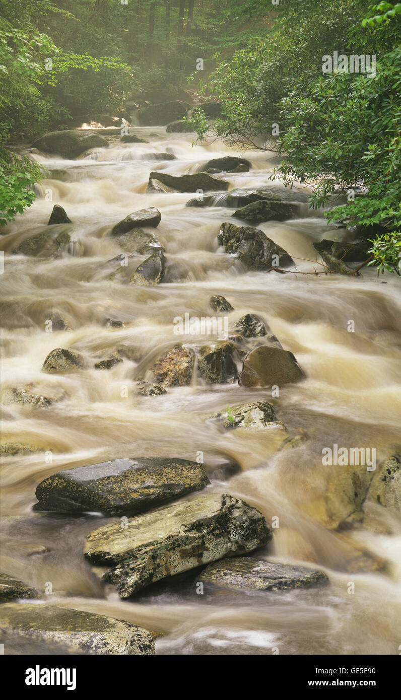 Une chute d'eau boueuse dans le Grand Smokey Mountains, New York. Banque D'Images