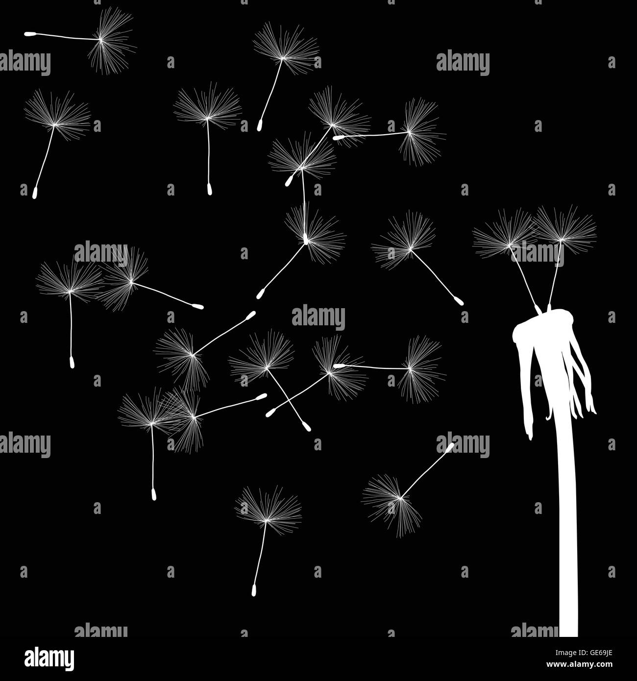 Blow dandelion vector abstract background concept pour poster Illustration de Vecteur