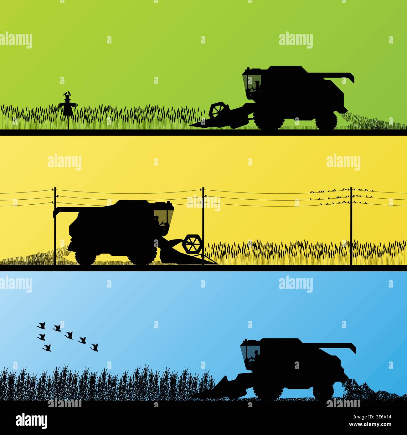 Combiner la récolte dans les champs de céréales background vector illustration Illustration de Vecteur