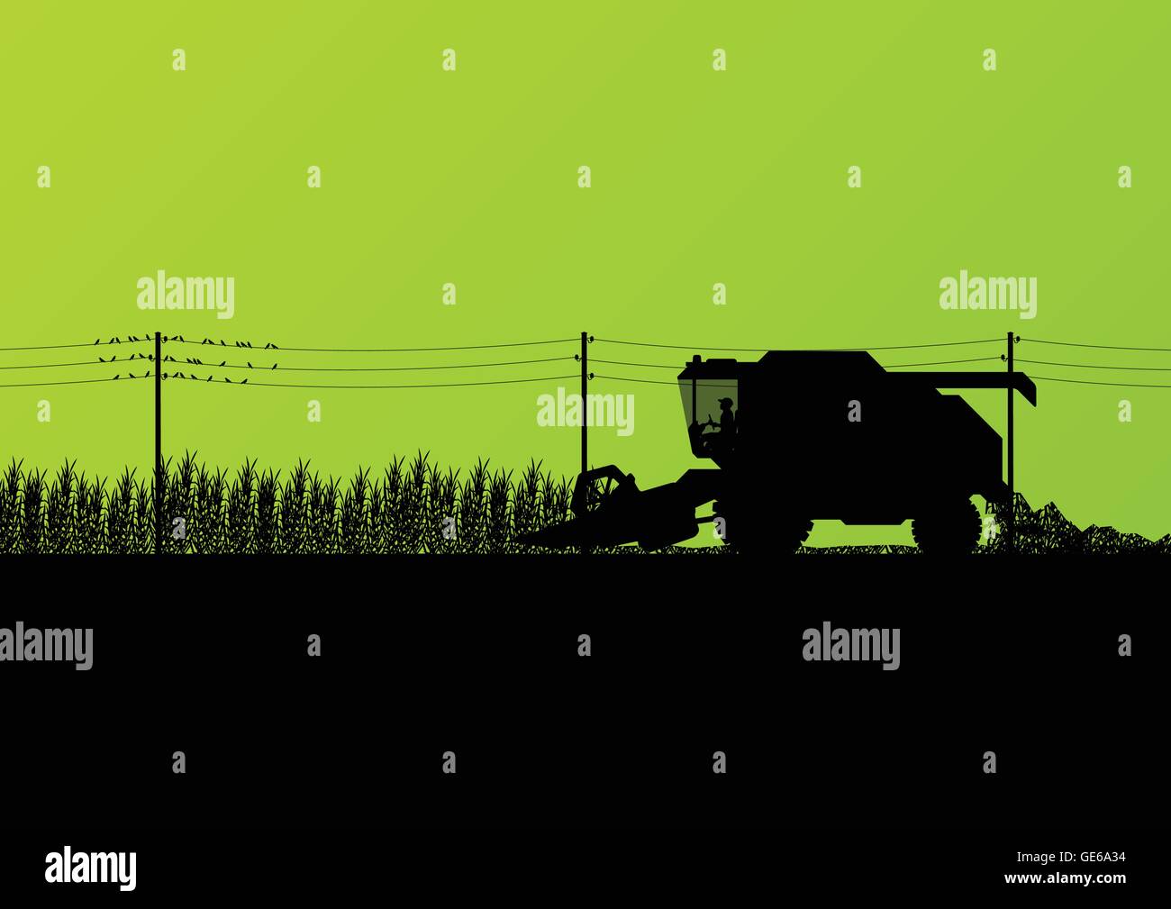 Moissonneuse-batteuse agricole paysage agricole saisonnière illustration vecteur de fond de scène Illustration de Vecteur