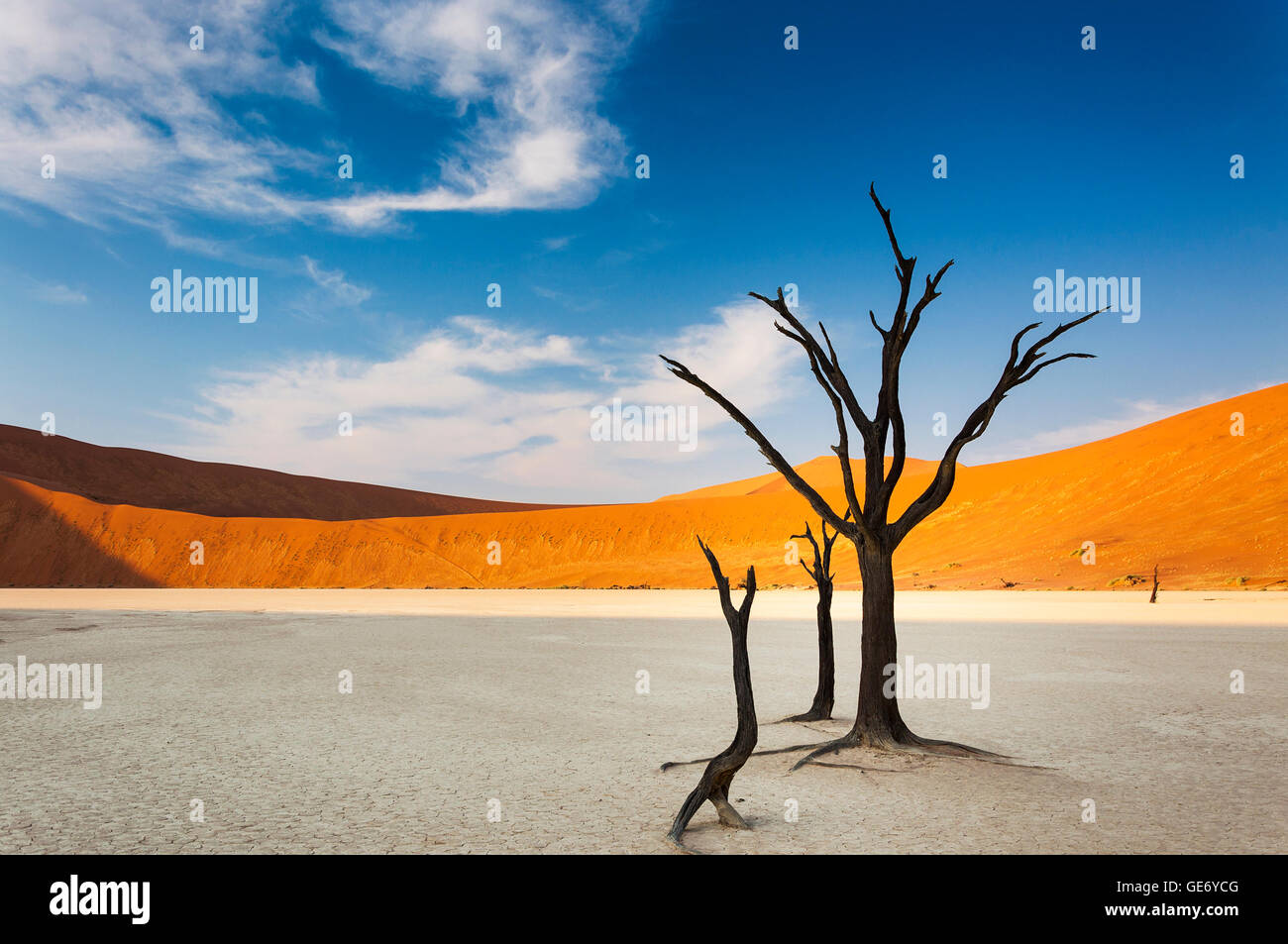 Les arbres morts et les dunes rouges dans le Dead Vlei, Sossusvlei, Namibie, concept pour le voyage en Afrique Banque D'Images