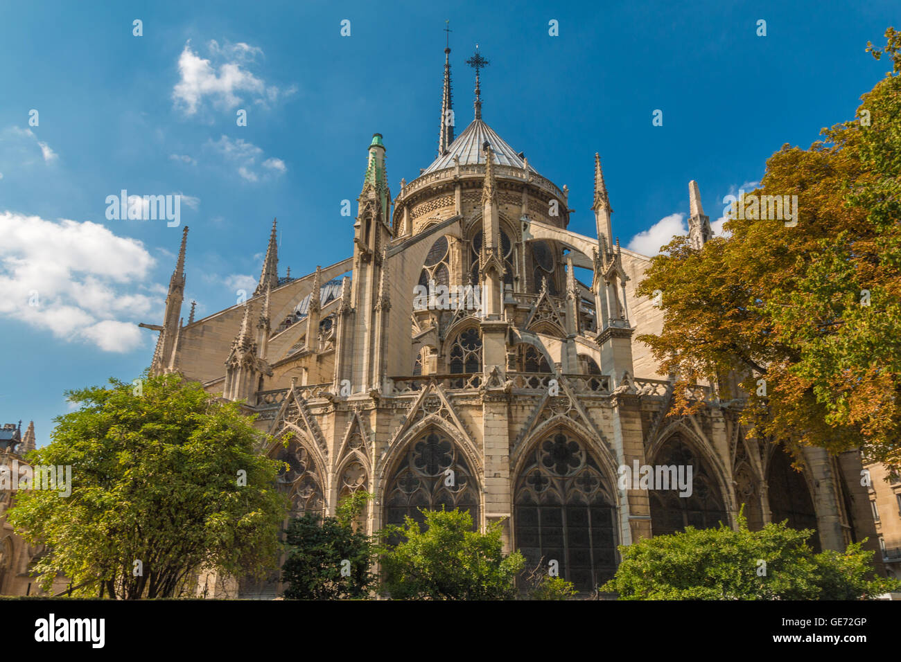 Vue arrière de la Cathédrale Notre Dame de Paris Banque D'Images