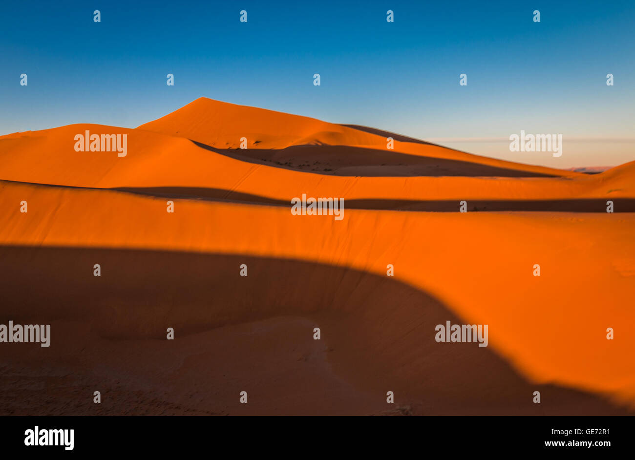 Dunes de sable rouge du désert du Sahara au Maroc Banque D'Images