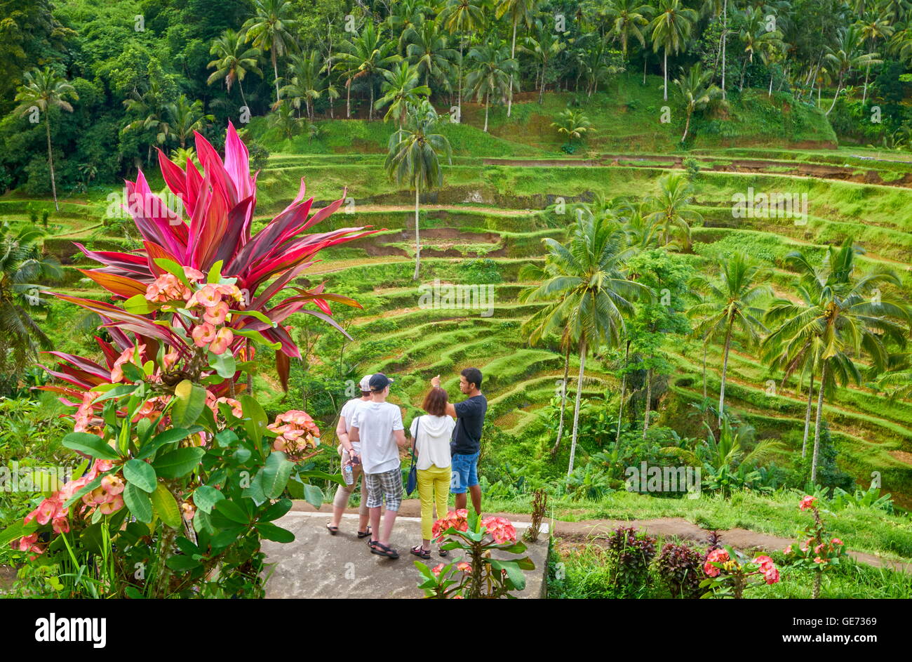 Bali, Indonésie - Les touristes à la vue de la terrasse de riz déposé Banque D'Images