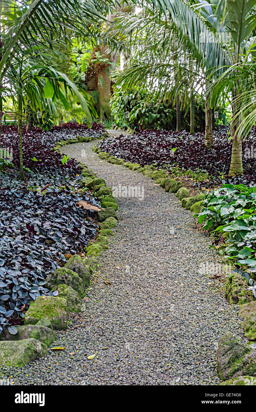 Sentier de gravier par la luxuriante jungle de Wahiawa Botanical Gardens sur Oahu, Hawaii Banque D'Images