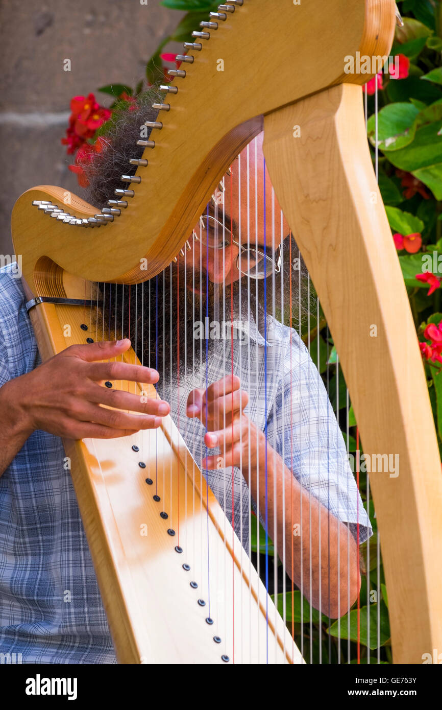 rencontres internationales de harpe celtique 2012