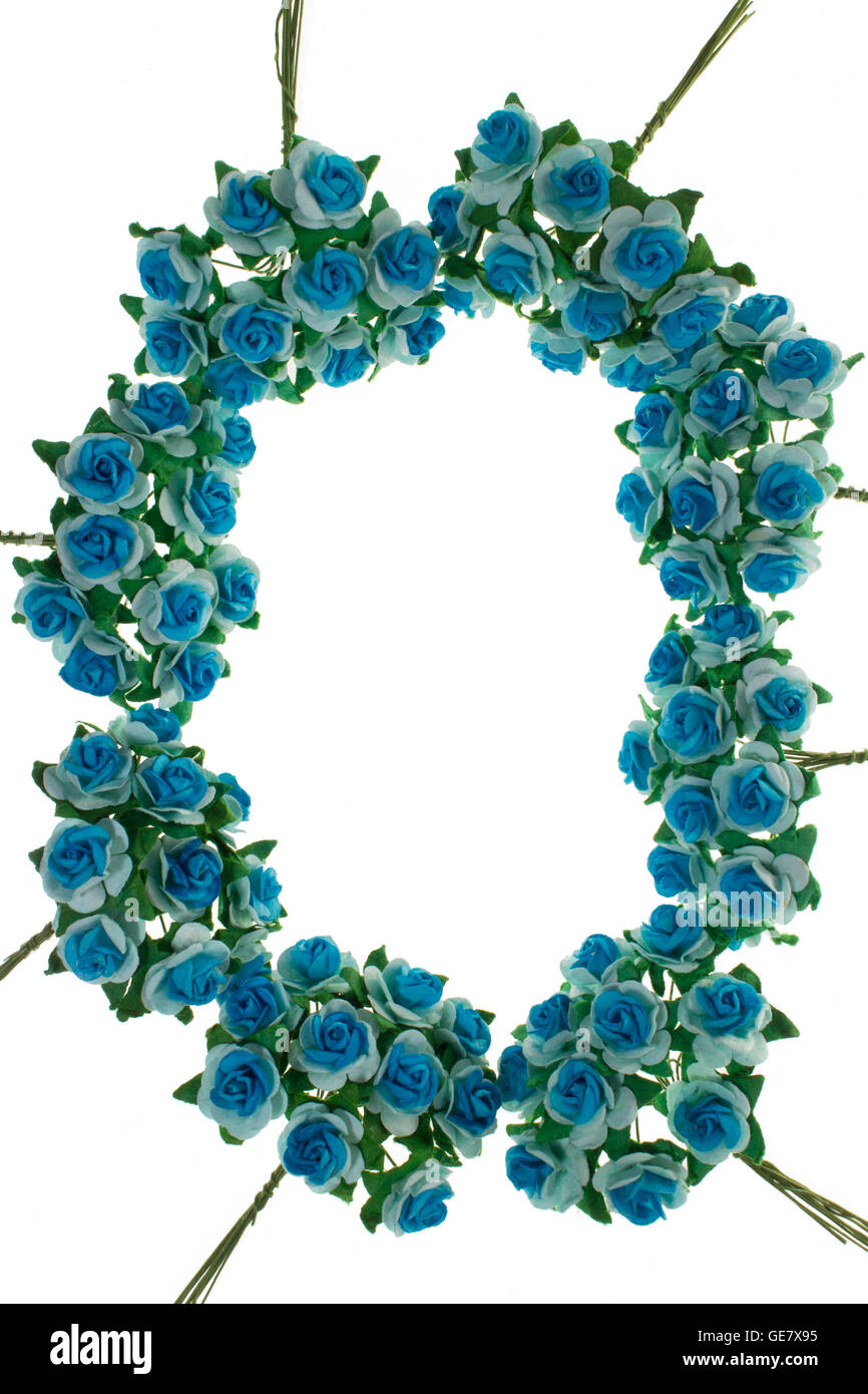 Printemps branches fleuries, fleurs bleues, pas de feuilles, les fleurs coeur cadre sur fond blanc. Banque D'Images