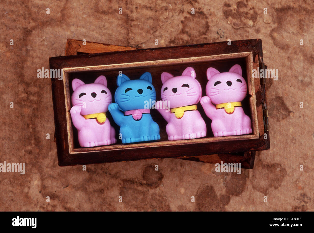 Petite boîte en bois contenant quatre modèles de forme et souriant trois chats et un bleu rose Banque D'Images