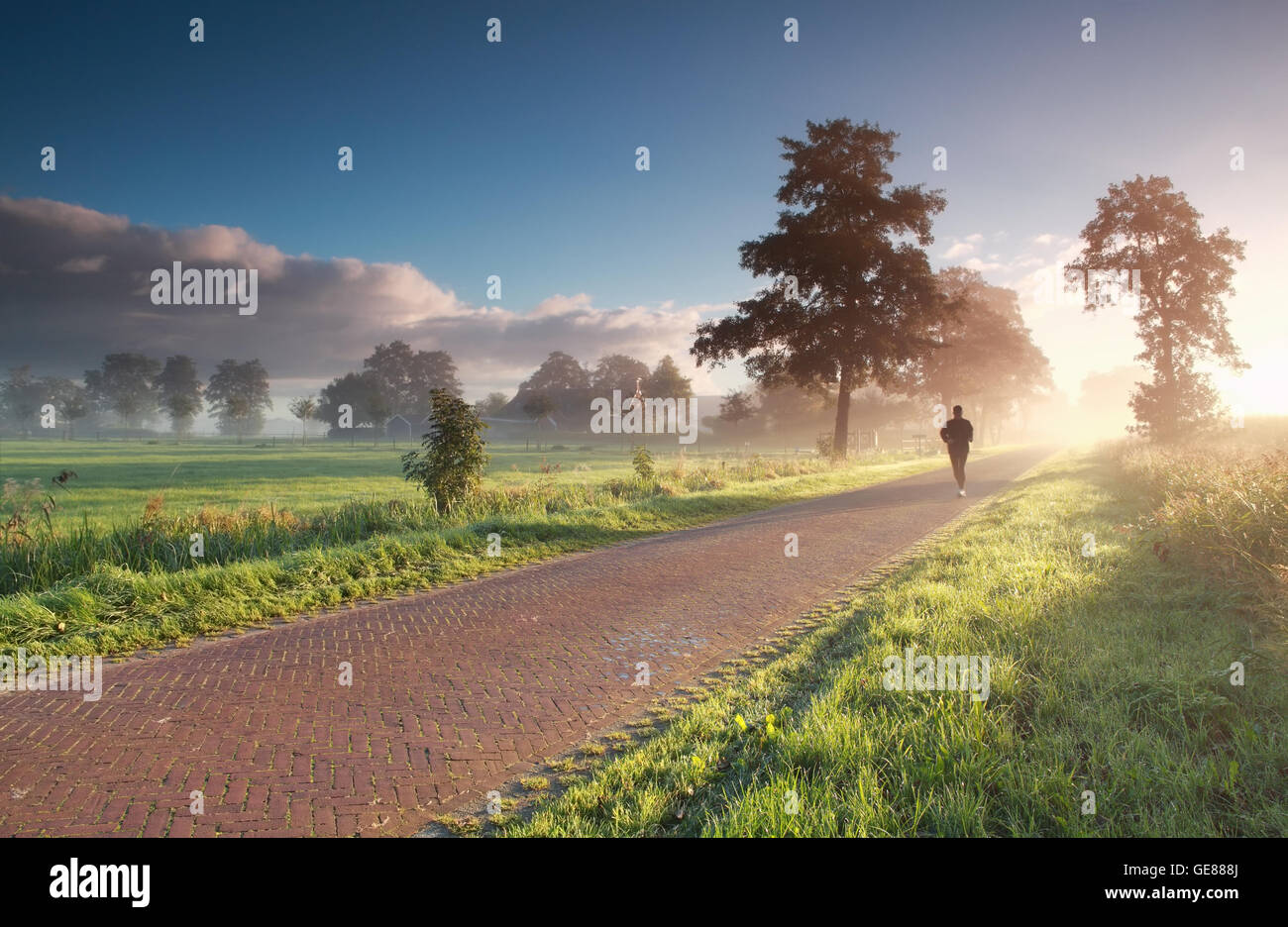 Coureur en campagne au cours de l'été l'aube brumeuse Banque D'Images