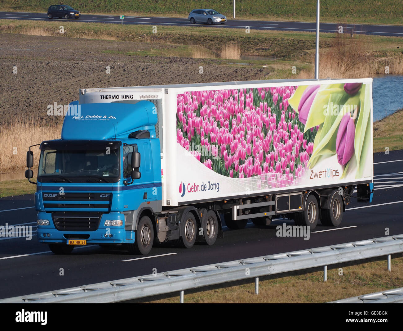 DAF 410 FA J, Dobbe & Zn, Zwettulips Banque D'Images