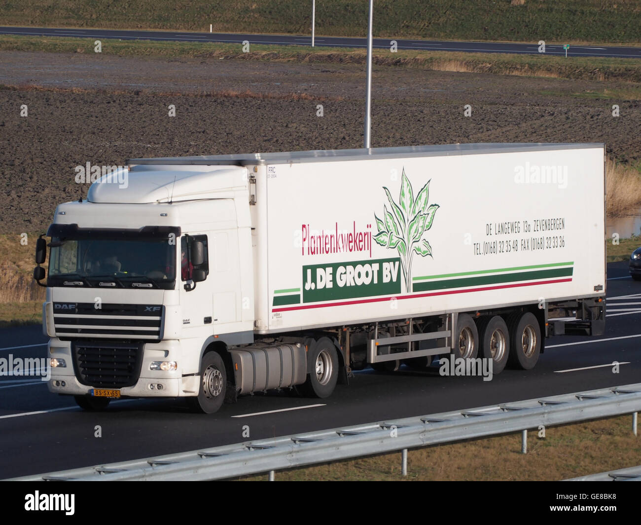 Le DAF XF, un camion lourd moderne, est présenté ici en service à Plantenkwekerij J de Groot BV, une pépinière néerlandaise. Le camion est utilisé pour le transport de plantes et de marchandises à l'intérieur des pays-Bas, soulignant son rôle dans la logistique. Banque D'Images Le DAF XF, un camion lourd moderne, est présenté ici en service à Plantenkwekerij J de Groot BV, une pépinière néerlandaise. Le camion est utilisé pour le transport de plantes et de marchandises à l'intérieur des pays-Bas, soulignant son rôle dans la logistique. Banque D'Images