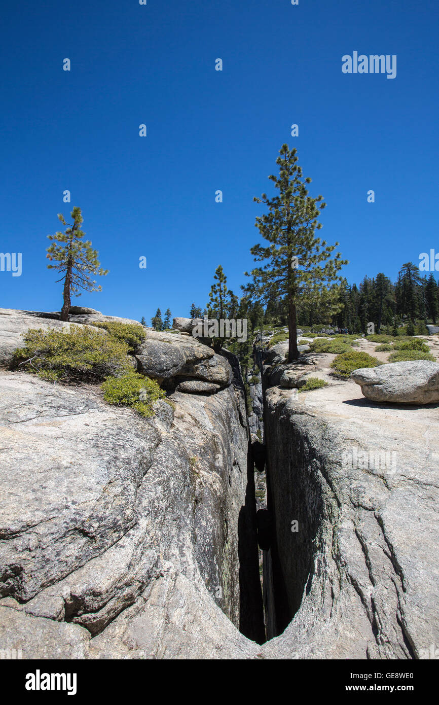 Une vie de l'un des gouffres à Taft Point, Yosemite National Park Banque D'Images