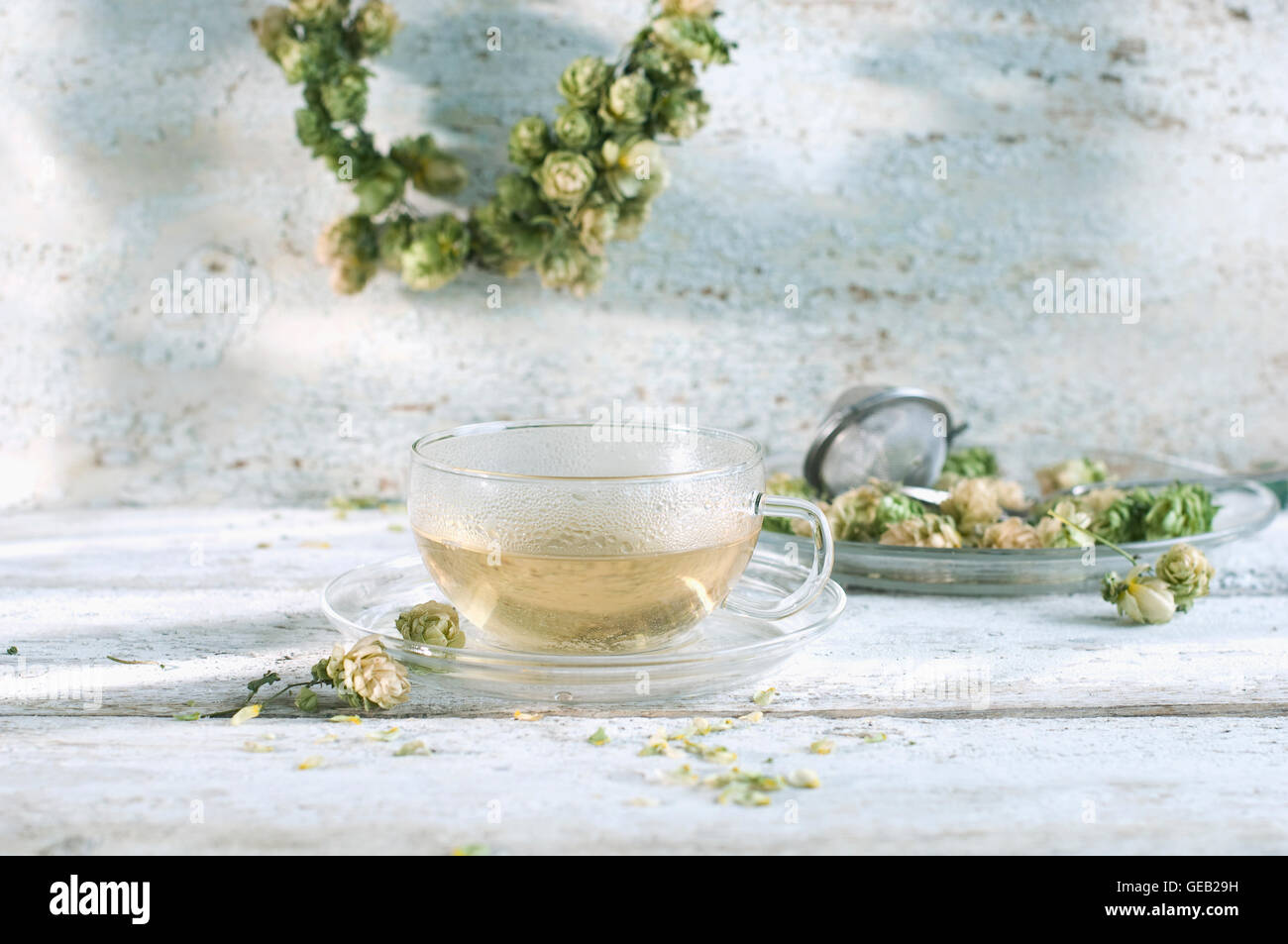 Plateau en verre tasse Hop Banque D'Images