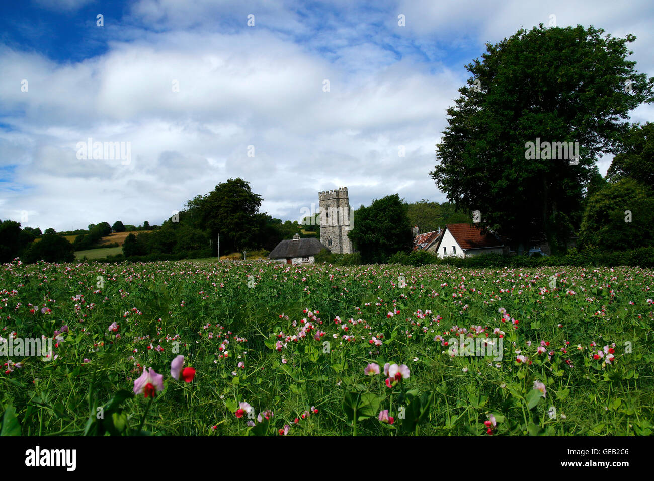 L'église saxonne à Buckland-dans-le-moor avec la célèbre horloge 'Ma chère mère' commandé par la famille Whiteley en mémoire Banque D'Images