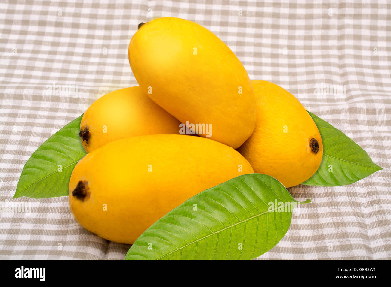 La mangue, un roi de tous les fruits avec feuille verte sur nappe. Banque D'Images