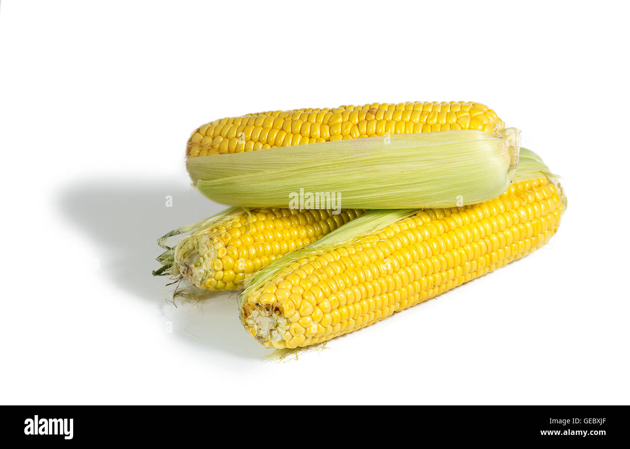 Les épis de maïs frais isolated on white Banque D'Images