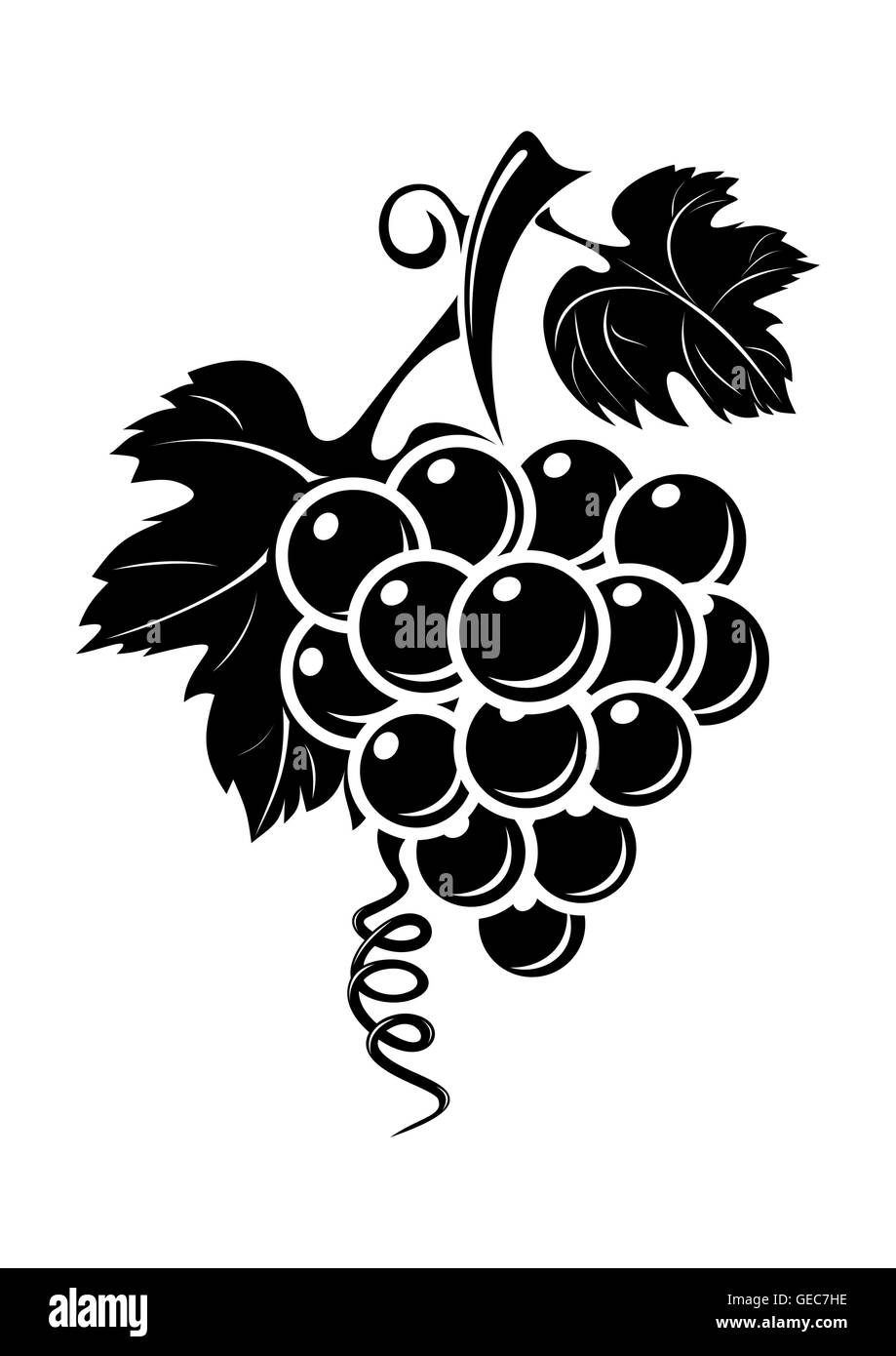 L Icone De Raisin Noir Et Blanc Image Vectorielle Stock Alamy