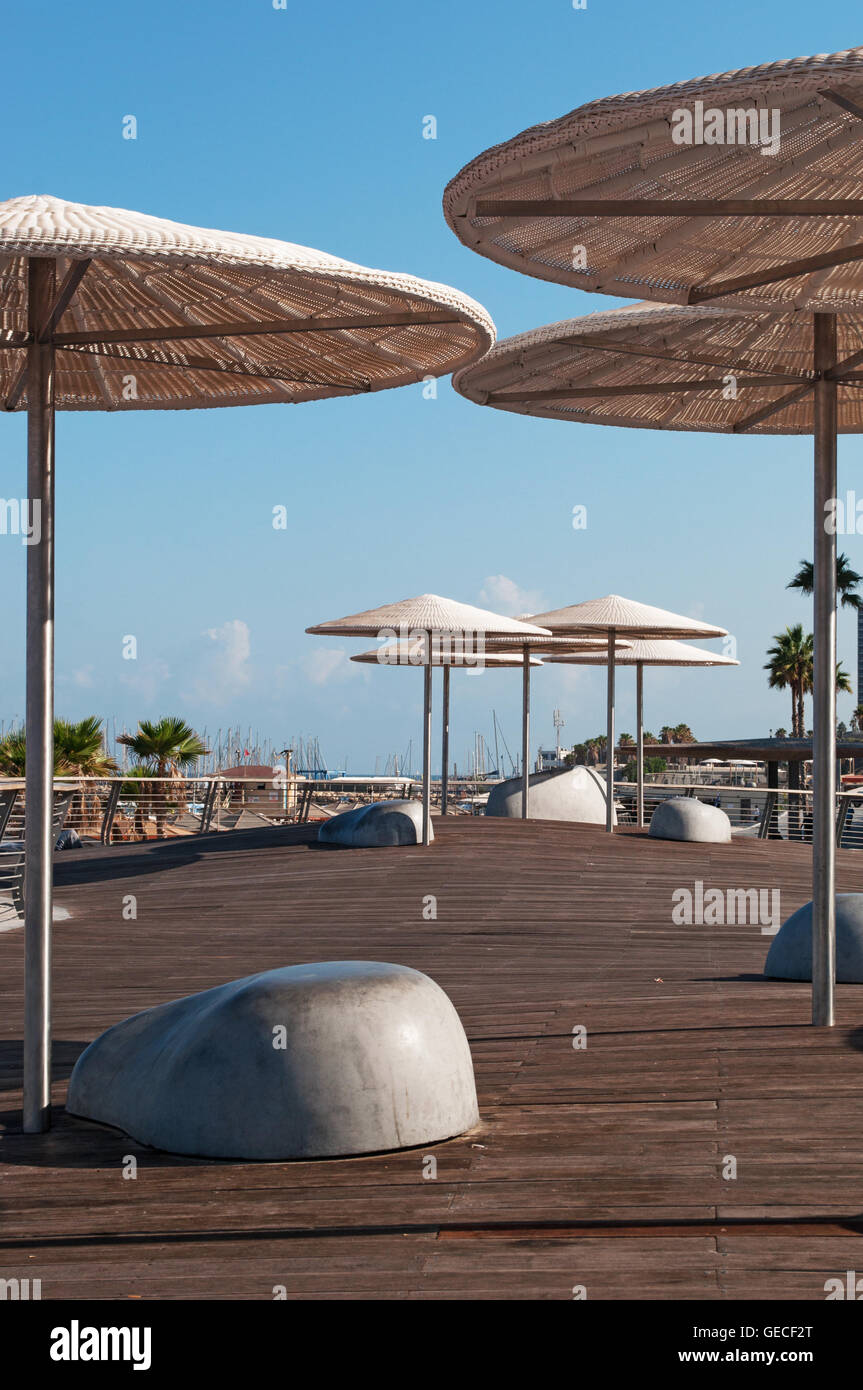 Tel Aviv, Israël : parasols sur la promenade de Tel Aviv Banque D'Images