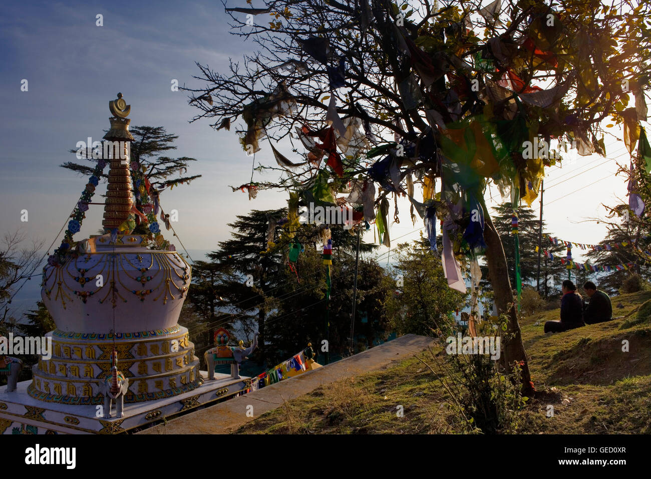 Stupa à Lhagyal ri,près de Tsuglagkhang complex,McLeod Ganj, Dharamsala, Himachal Pradesh, Inde, Asie Banque D'Images