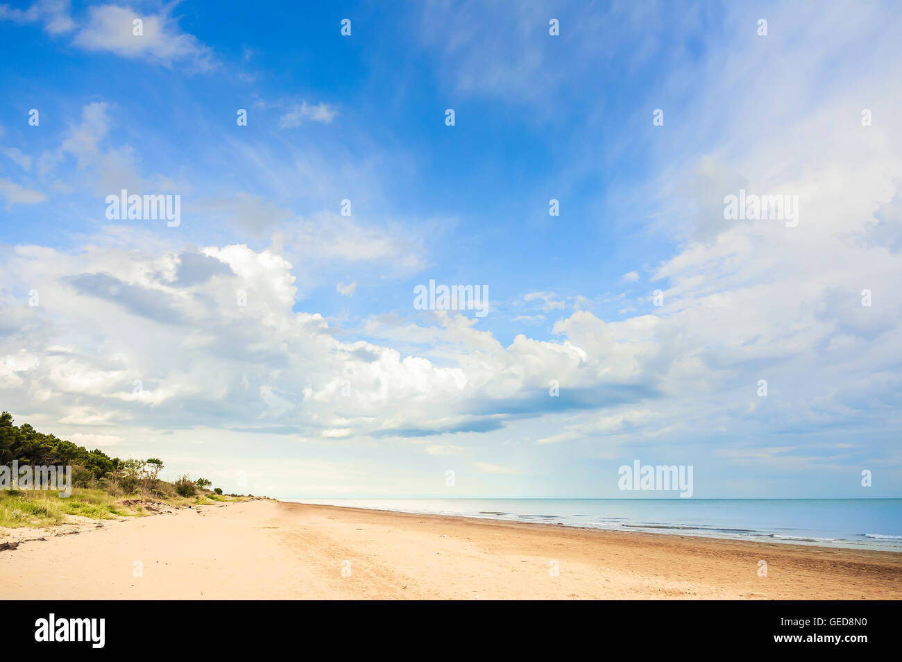 Vue sur la plage, la végétation, la mer et le ciel avec des nuages Banque D'Images