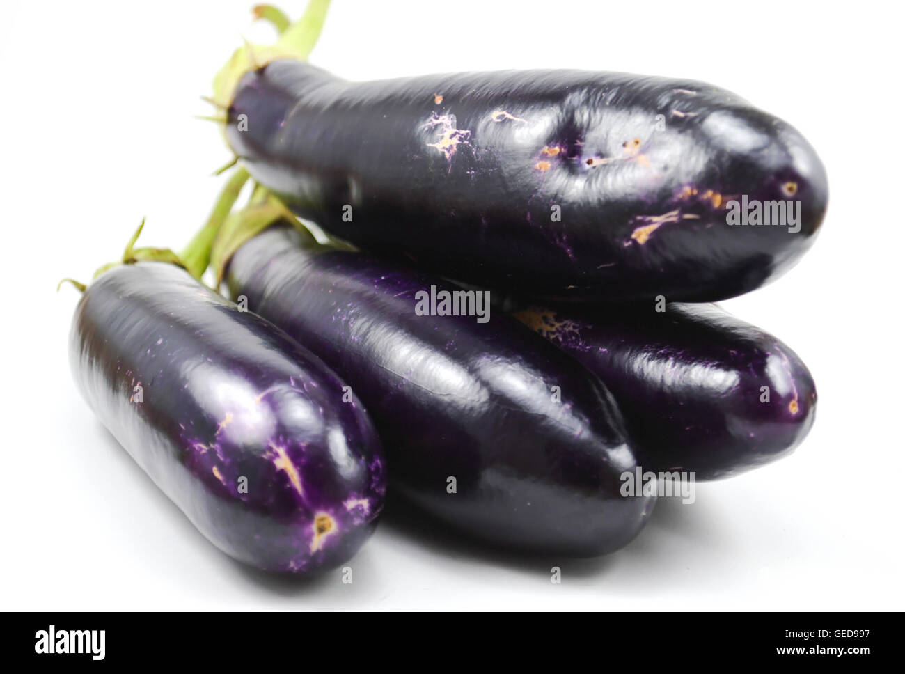 Légumes Brinjal sur fond blanc Banque D'Images