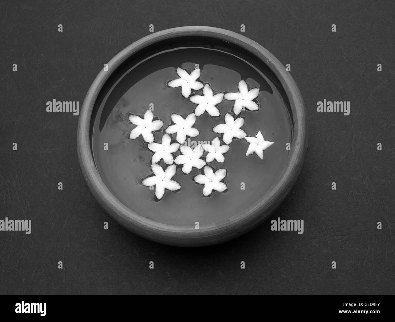 Fleurs dans un bol d'eau en noir & blanc Banque D'Images