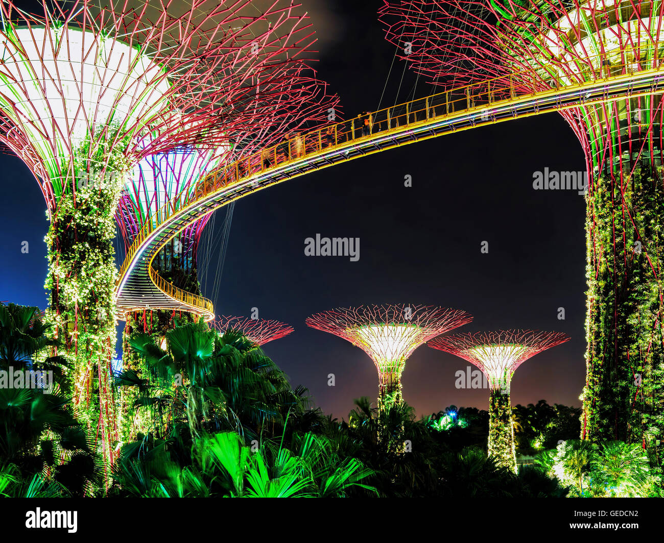 Singapour, Singapour - Mars 2, 2016 : Supertree grove au Gardens by the Bay Centre à Singapour. C'est une musique et lumière quand les arbres sont éclairés par des couleurs différentes Banque D'Images