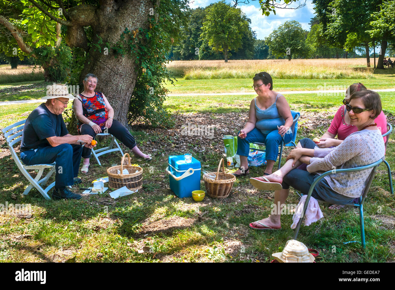 Pique-nique en famille sous l'ombre des arbres - France. Banque D'Images