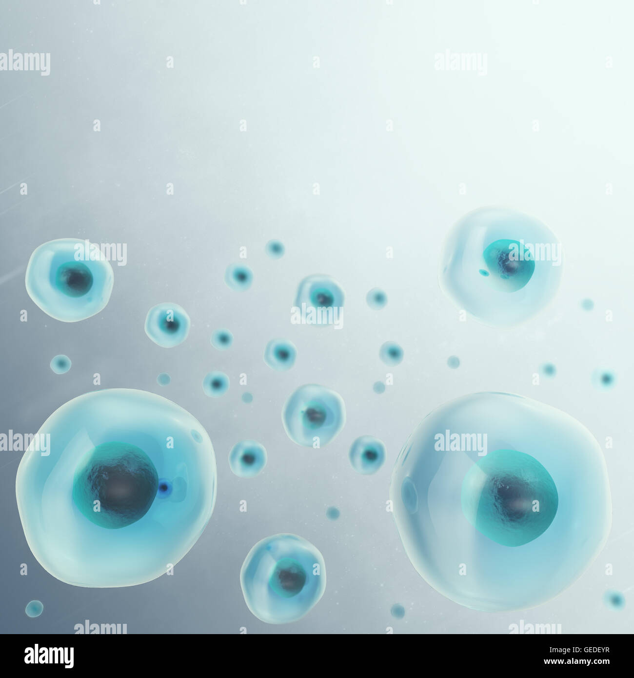 Arrière-plan de cellule grise. La vie et la biologie, la médecine, la recherche scientifique moléculaire. 3d illustration. Banque D'Images
