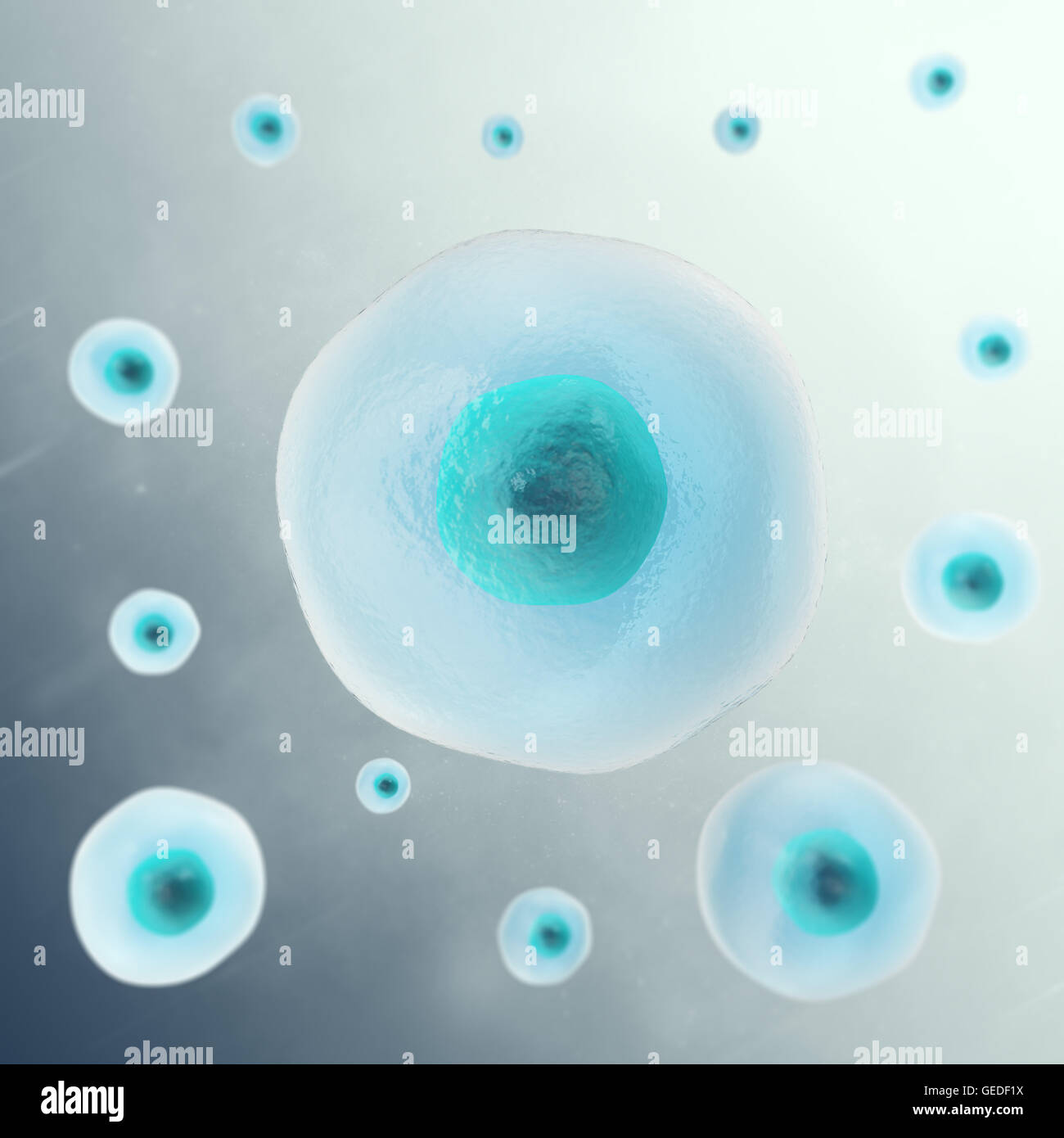 Arrière-plan de cellule grise. La vie et la biologie, la médecine, la recherche scientifique moléculaire. 3d illustration Banque D'Images